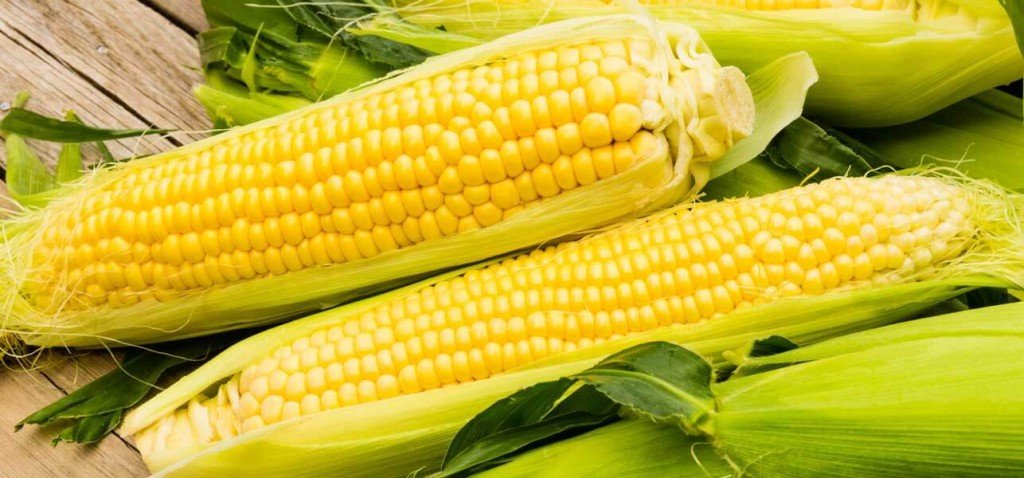 sweet-corn-health-benefits-size-gain-improve-power-body-vitamin